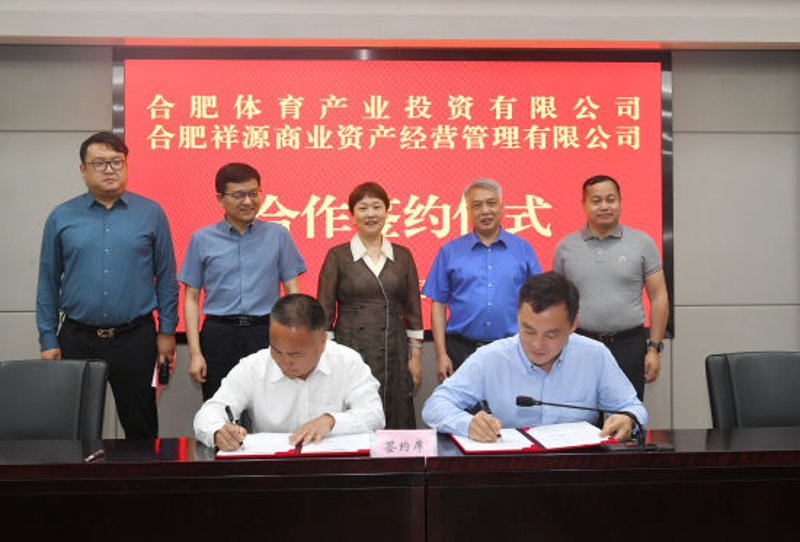 合肥商贸公司的创新与挑战