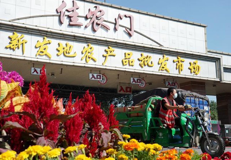 探寻商贸行业的创新脉动:合肥市仁缘商贸有限公司的独特探索
